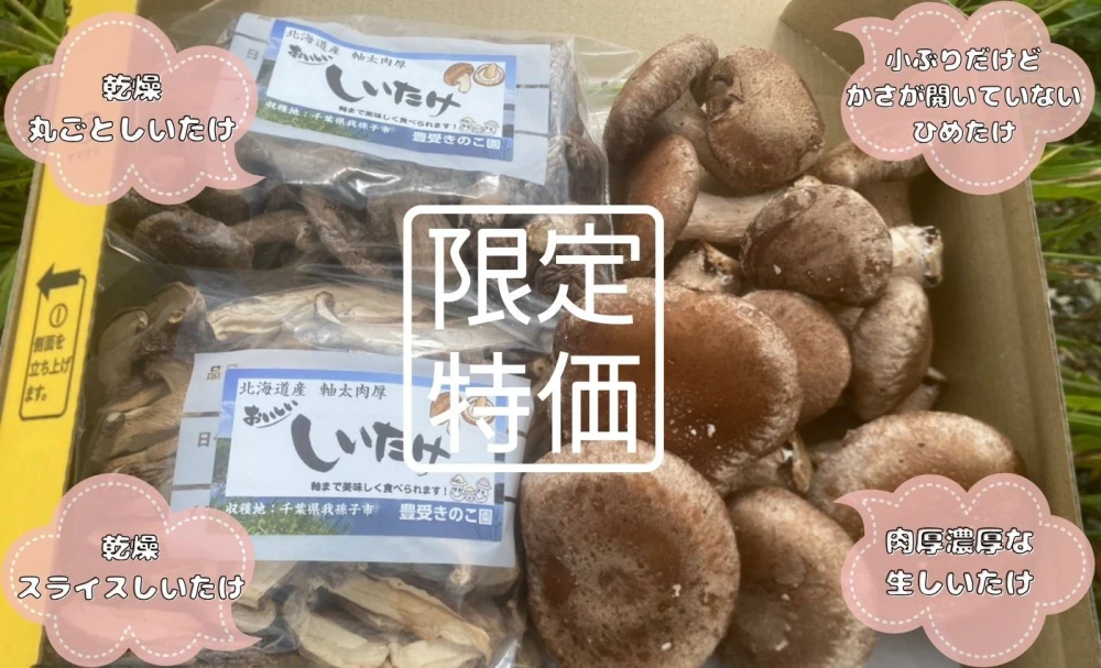 【ワンコインお試しセット】500円☆超お得なしいたけセット【お一人様一点限り】