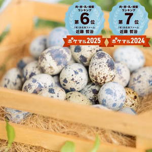 【家庭用】命のカプセル（うずらの生卵）【濃厚なのに後味サッパリ！】