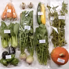 【農薬・化学肥料不使用】採れたての旬の野菜　Mセット(8-10品目入り)