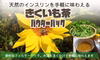 きくいも茶パウダーパック