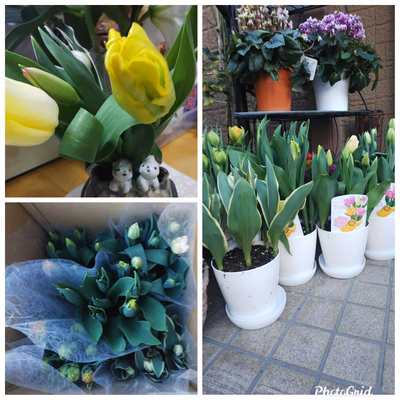 みんなの投稿の画像