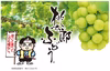 【ご自宅用】桃太郎ぶどう※クール冷蔵便