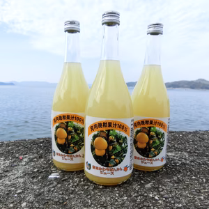 河内晩柑ストレートジュース720ｍｌ6本入り
