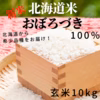 【北海道から希少品種をお届け♪】もっちり・甘みのある北海道米おぼろづき　玄米