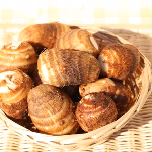 ね～っとり「里芋」２ｋｇ