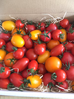 みんなの投稿の画像