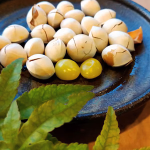 秋の味覚　銀杏　ギンナン