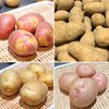 【福袋2022】じゃが4種たべくらべセット