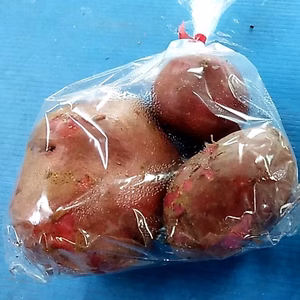 アンデスレッド