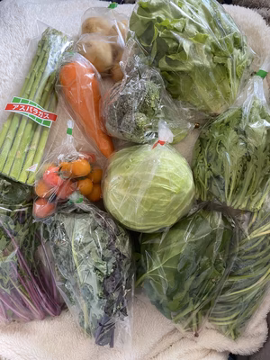 みんなの投稿の画像