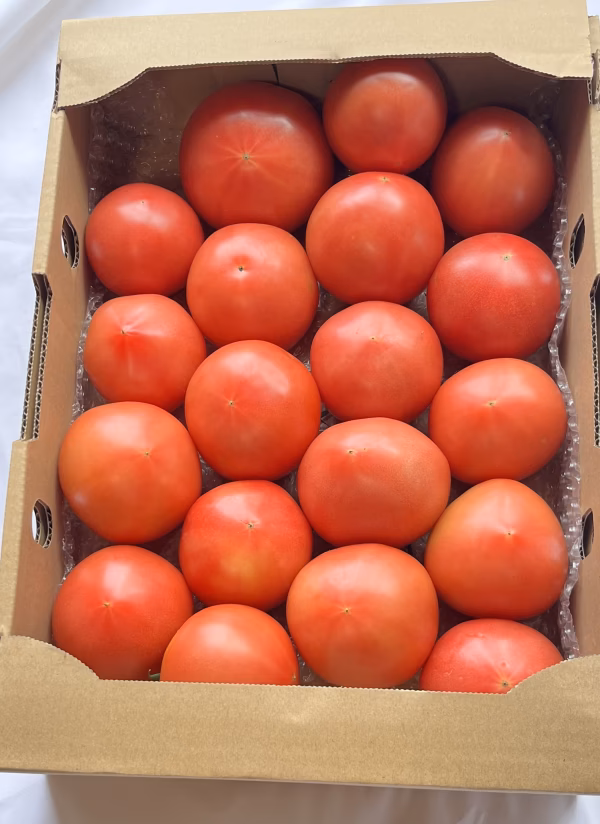 クール便でお届け❣️真っ赤な樹熟の旨味がぎゅっと詰まった桃太郎