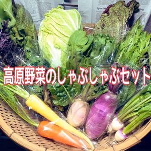 限定！彩り高原野菜のしゃぶしゃぶセット【15種類】