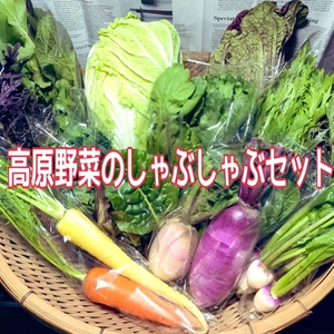 限定！彩り高原野菜のしゃぶしゃぶセット【15種類】