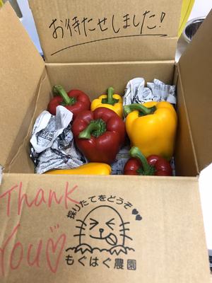 みんなの投稿の画像