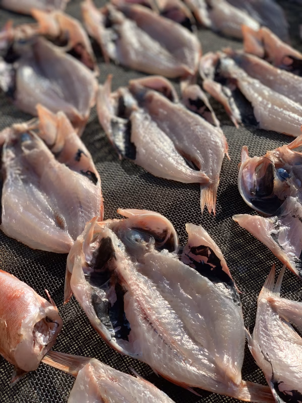 【ノドグロ入り★夏ギフト】漁師めしセット