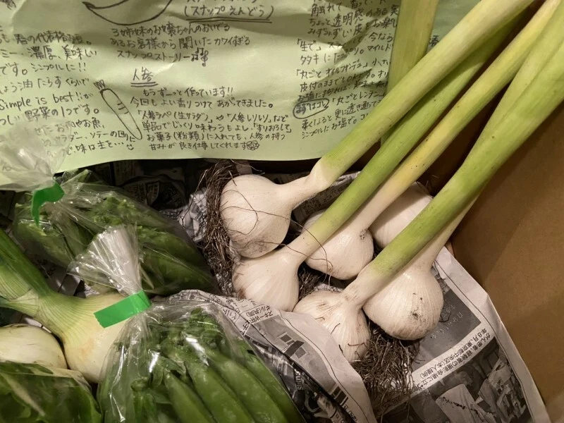 【旬の野菜8品セット】大山クロボク育ち【5～8種類】