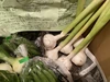 【旬の野菜8品セット】大山クロボク育ち【5～8種類】