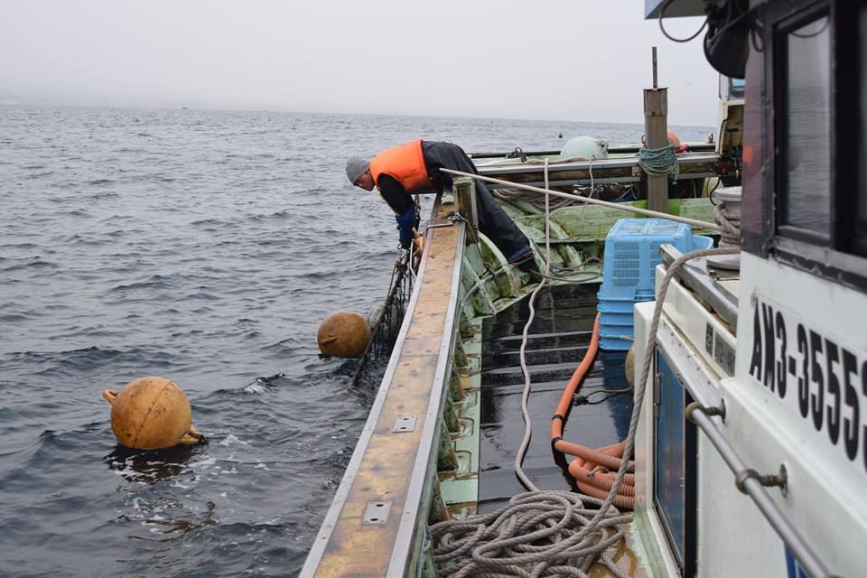 15977872_1912401315660509_7500015440002523376_n