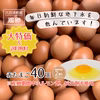 国産赤たまご40個Lサイズ【産卵期間中ホルモン剤、抗生剤不使用】破損保証2個含む