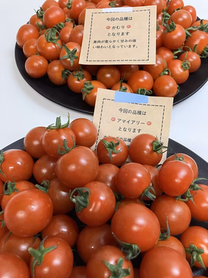 みんなの投稿の画像