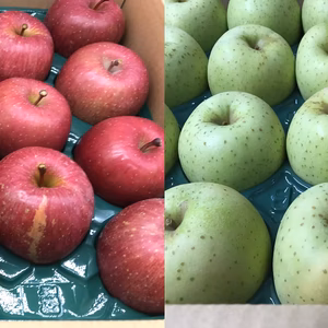 【青森県産】「サンふじ」「王林」家庭用 キズ有 約5kg 各1箱 2箱セット 