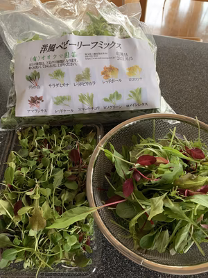 みんなの投稿の画像