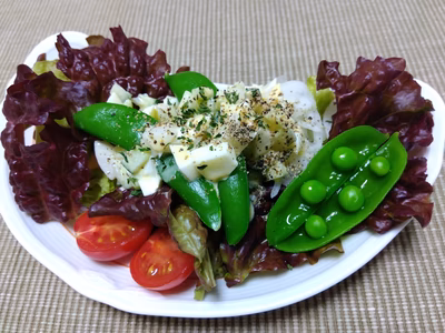 みんなの投稿の画像