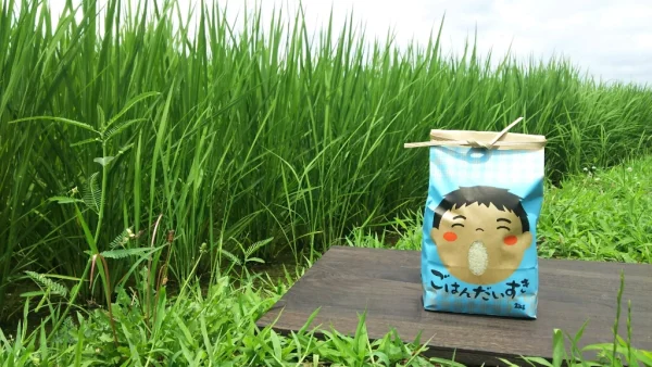 【新米】菜園家族のほっこり医農米♪【玄米】
