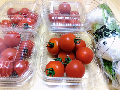 みんなの投稿の画像