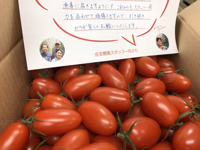 みんなの投稿の画像