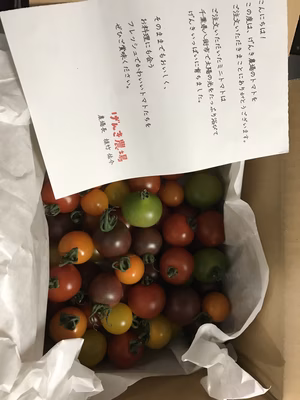 みんなの投稿の画像