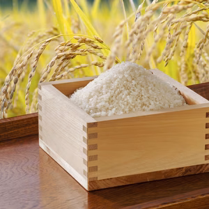 【希少　山田錦　もちもち食感】化学肥料・農薬不使用「山田錦」玄米