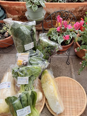 みんなの投稿の画像