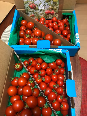 みんなの投稿の画像