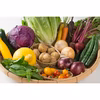 季節の彩り野菜セット(2〜3人前)