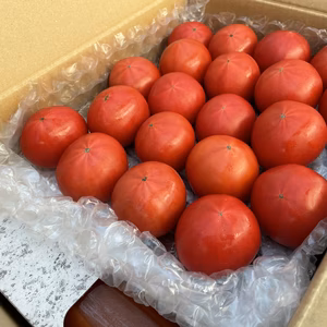 味に恋する【❼味恋とまとセット】二度美味しい組合せ