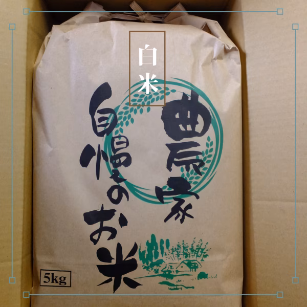 【白米】令和7年産（新米）新潟コシヒカリ５Kg