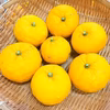 皮ごと丸かじり！藤野の柚子（栽培期間中農薬不使用）1キロ-10キロ