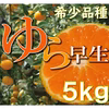 ゆら早生 みかん 小粒
