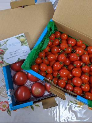 みんなの投稿の画像