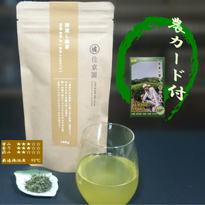 【新茶100％】熱湯OK！コク強め 深蒸し緑茶「金谷 (かなや)」