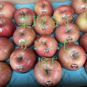 青森県産【葉取らずサンふじ】18玉