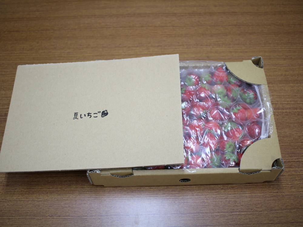 【八ヶ岳高原産】夏いちご「サマーリリカル」おつまみ小粒