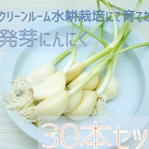 【秋の連休限定】ロケット発芽にんにく30本+5本セット　