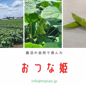 ビールに合う！濃厚枝豆「おつな姫」サイズ無選別