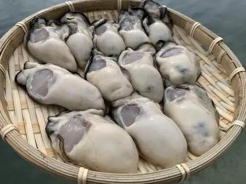 期間限定価格！　愚直に真っすぐ！正直に育てました！　広島県産生カキ 　生食用　