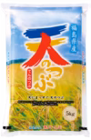 新米‼︎福島県産天のつぶ　10kg精米　