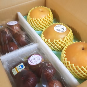 M-４ 限定６箱 秋の味覚セット[無花果 & 秋月,豊水,新美月 ] 