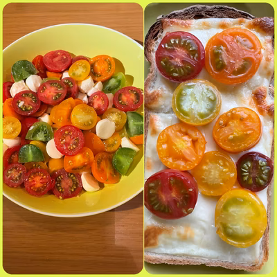 みんなの投稿の画像