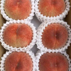 【家庭用小箱】和歌山の桃 箱入り約1.5kg 